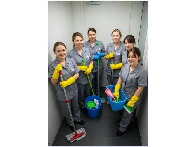 Limpiadoras para cabañas