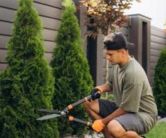 Busco jardinero para trabajos de poda y desmalezado
